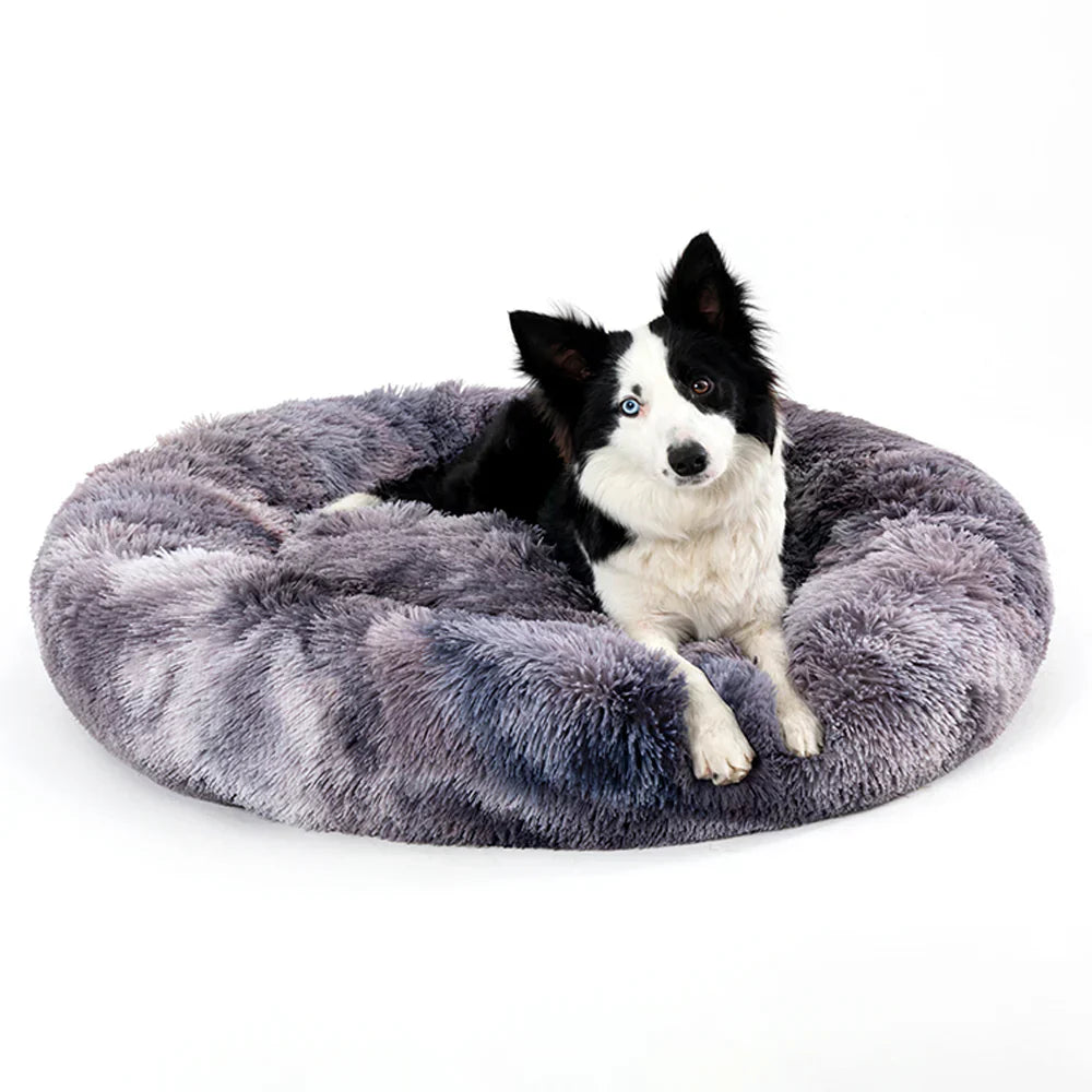Best Calming Dog Beds for Stress Relief