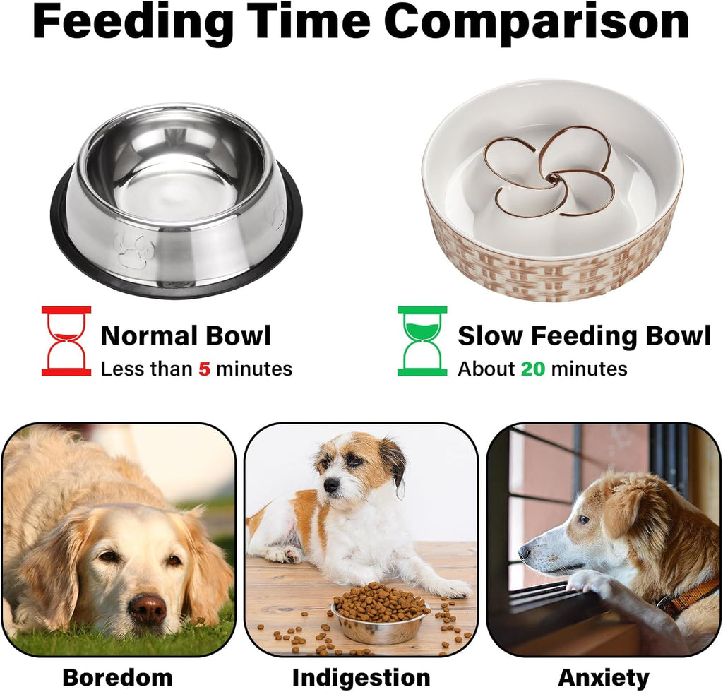 Ceramic Slow Feeder Dog Bowl That Helps Dogs Eat Slowly