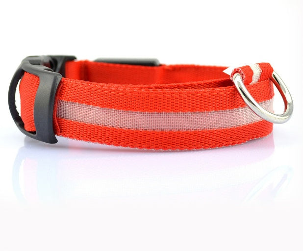 LED Dog Collar for Safer Evening Adventures