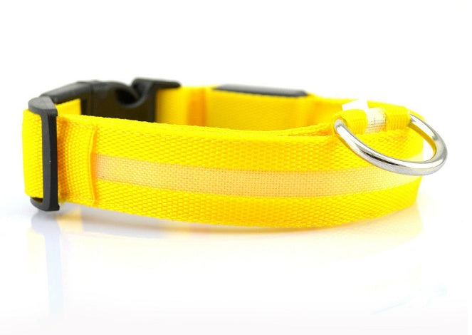 LED Dog Collar for Safer Evening Adventures