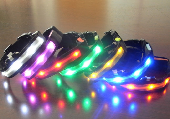 LED Dog Collar for Safer Evening Adventures