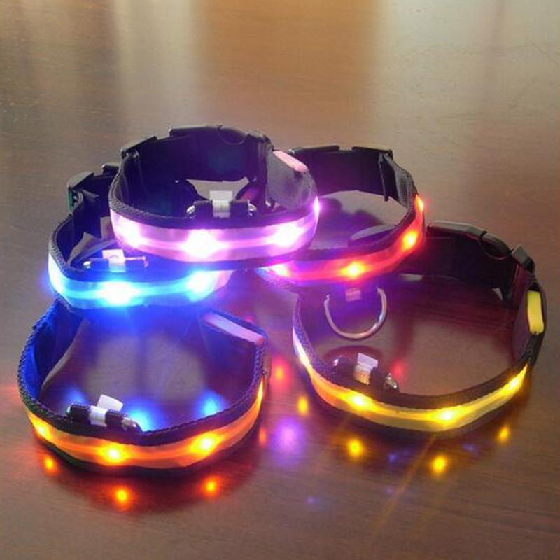 LED Dog Collar for Safer Evening Adventures