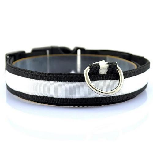LED Dog Collar for Safer Evening Adventures