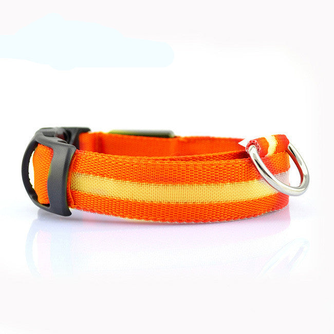 LED Dog Collar for Safer Evening Adventures