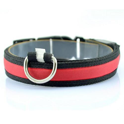 LED Dog Collar for Safer Evening Adventures