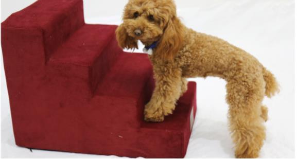 Easy Pet Stairs – Couch and Bed Helper