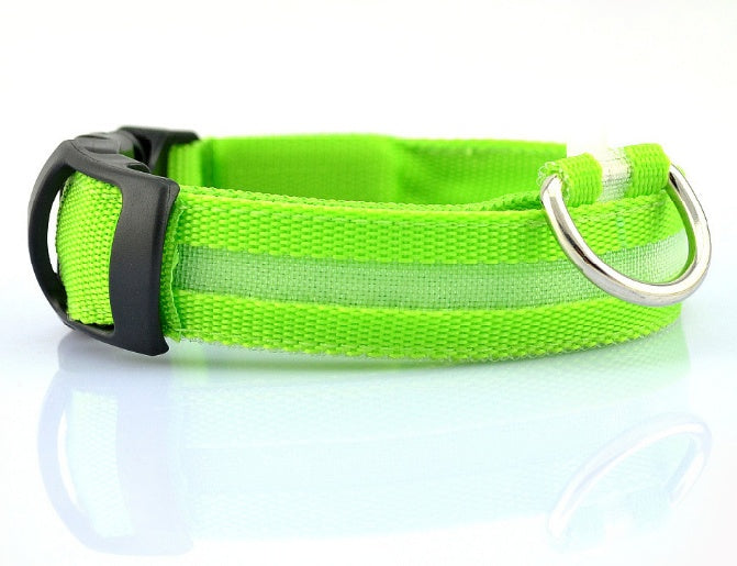 LED Dog Collar for Safer Evening Adventures