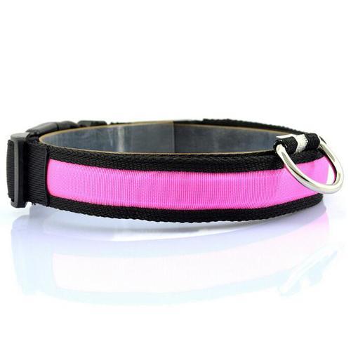 LED Dog Collar for Safer Evening Adventures