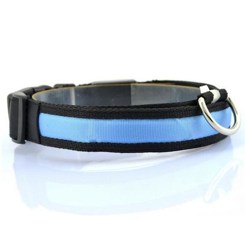 LED Dog Collar for Safer Evening Adventures