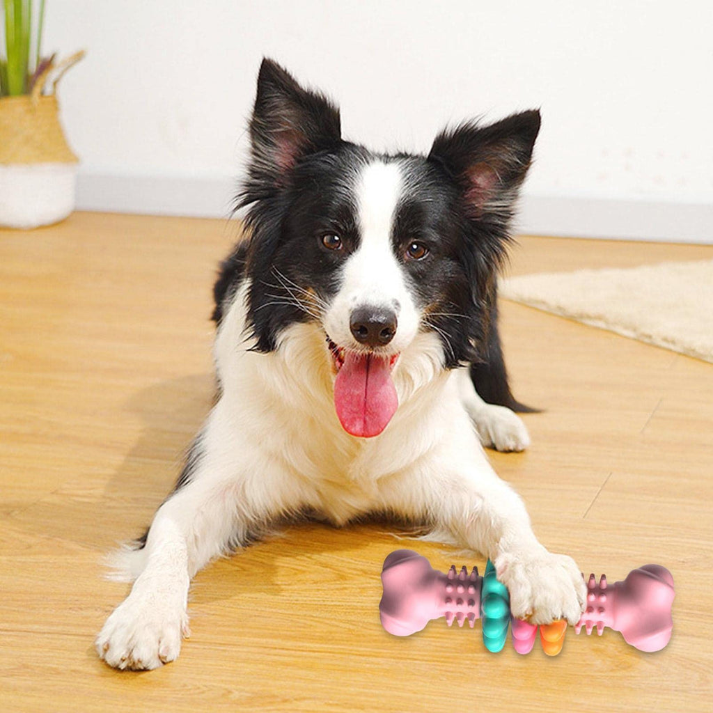 Fun, Safe & Durable Dog Chew Toy