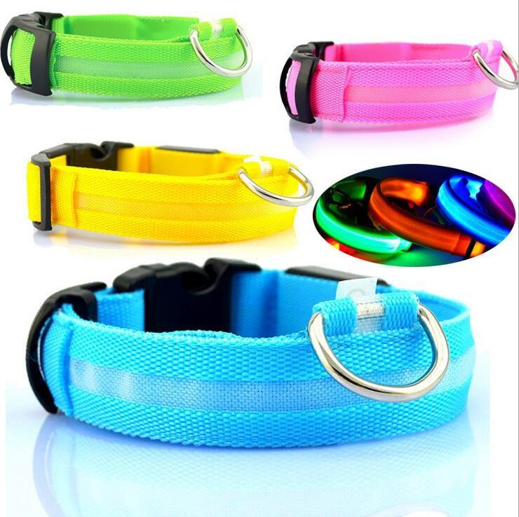 LED Dog Collar for Safer Evening Adventures