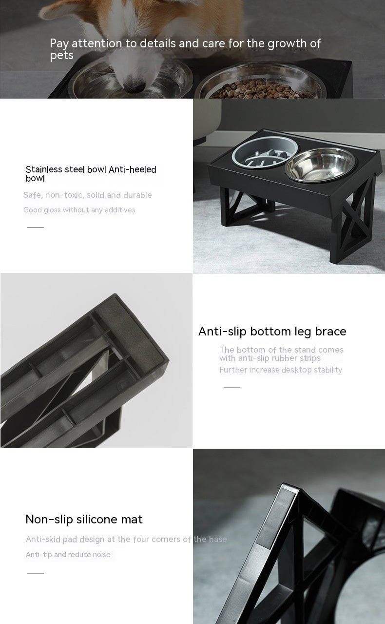 Elevate Mealtime - Your Pup Deserves It!