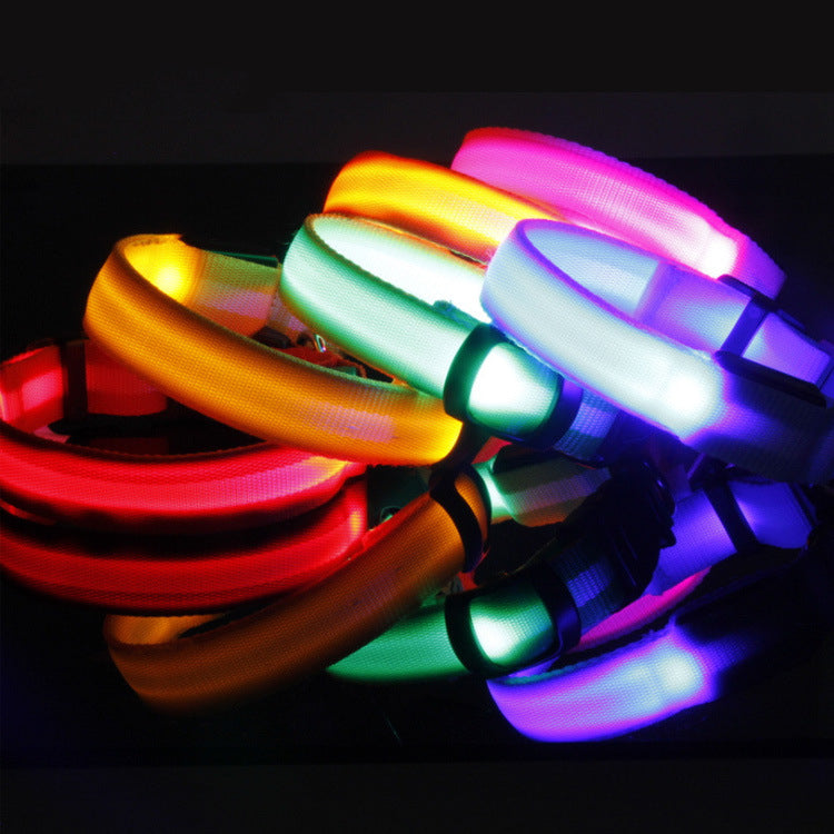 LED Dog Collar for Safer Evening Adventures