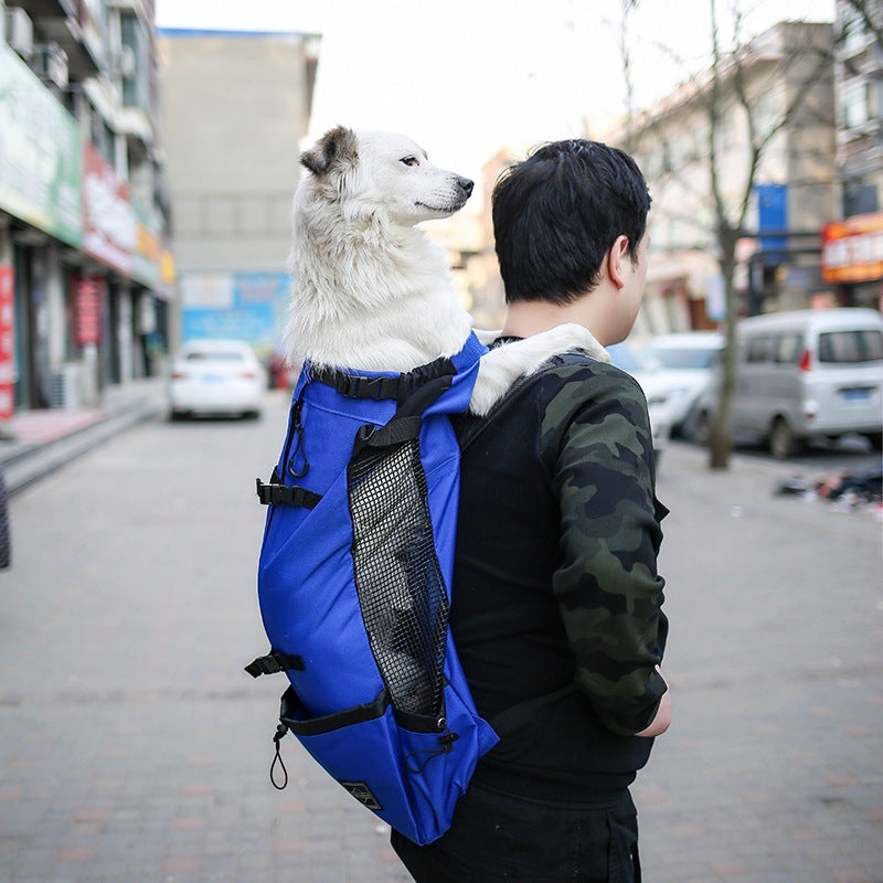Portable Pet Carrier Backpack for Happy Travels