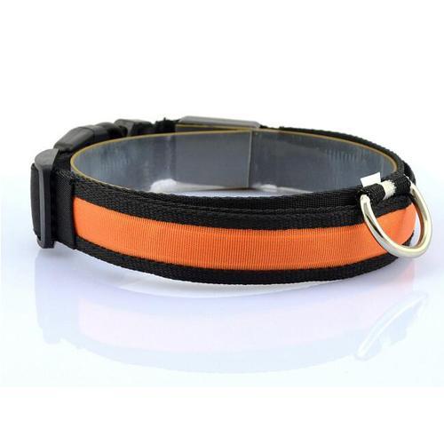 LED Dog Collar for Safer Evening Adventures