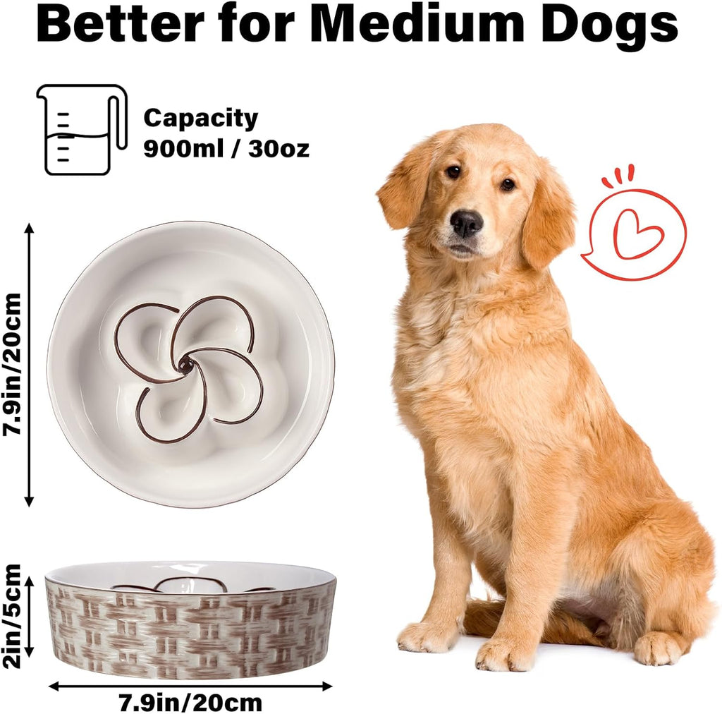 Ceramic Slow Feeder Dog Bowl That Helps Dogs Eat Slowly