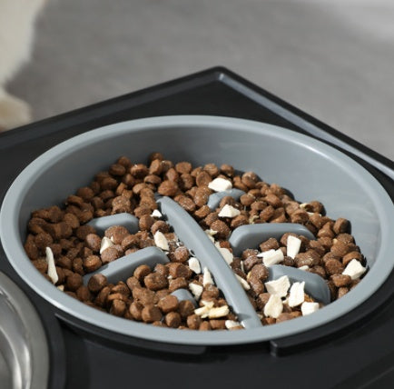 Elevate Mealtime - Your Pup Deserves It!
