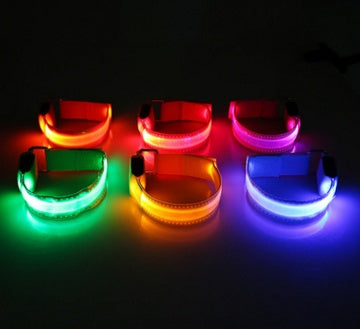 LED Dog Collar for Safer Evening Adventures