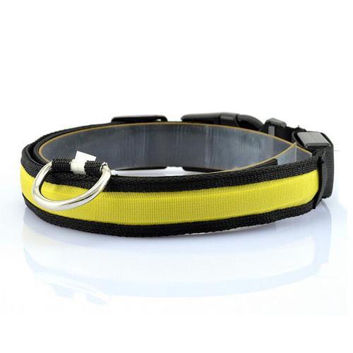 LED Dog Collar for Safer Evening Adventures