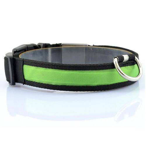 LED Dog Collar for Safer Evening Adventures
