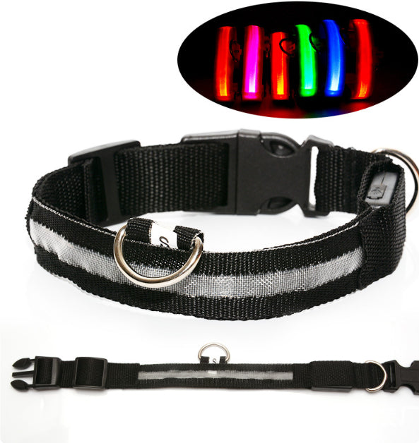 LED Dog Collar for Safer Evening Adventures