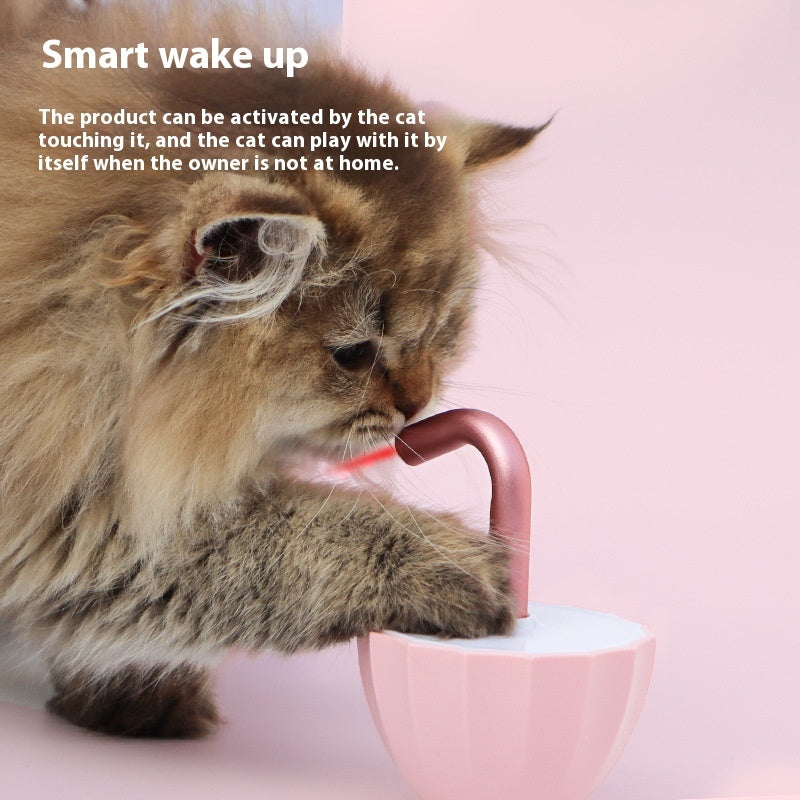 Cat interacting with a pink laser toy