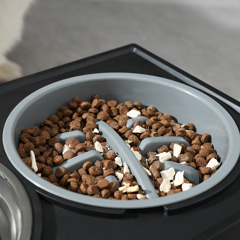 Elevate Mealtime - Your Pup Deserves It!