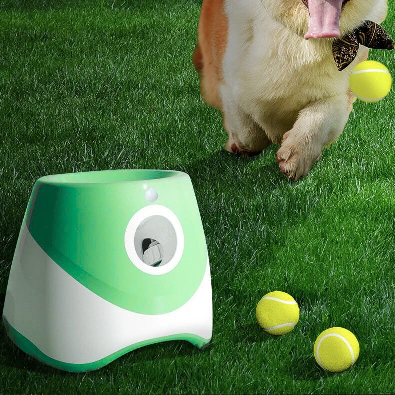 Automatic Ball Launcher - Endless Playtime for Dogs