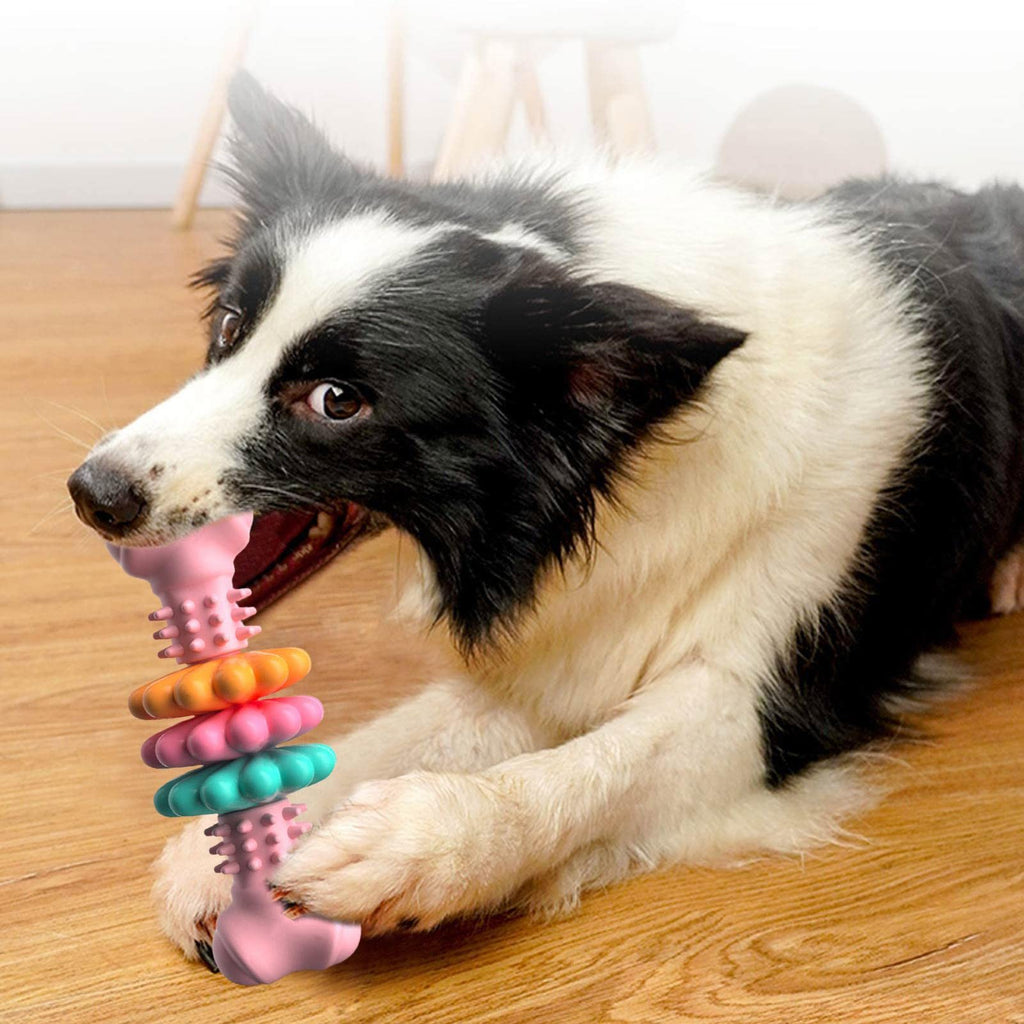 Fun, Safe & Durable Dog Chew Toy