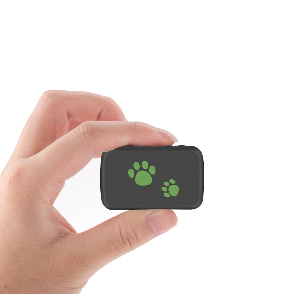 Pet GPS Tracker Collar - Always Know Their Location